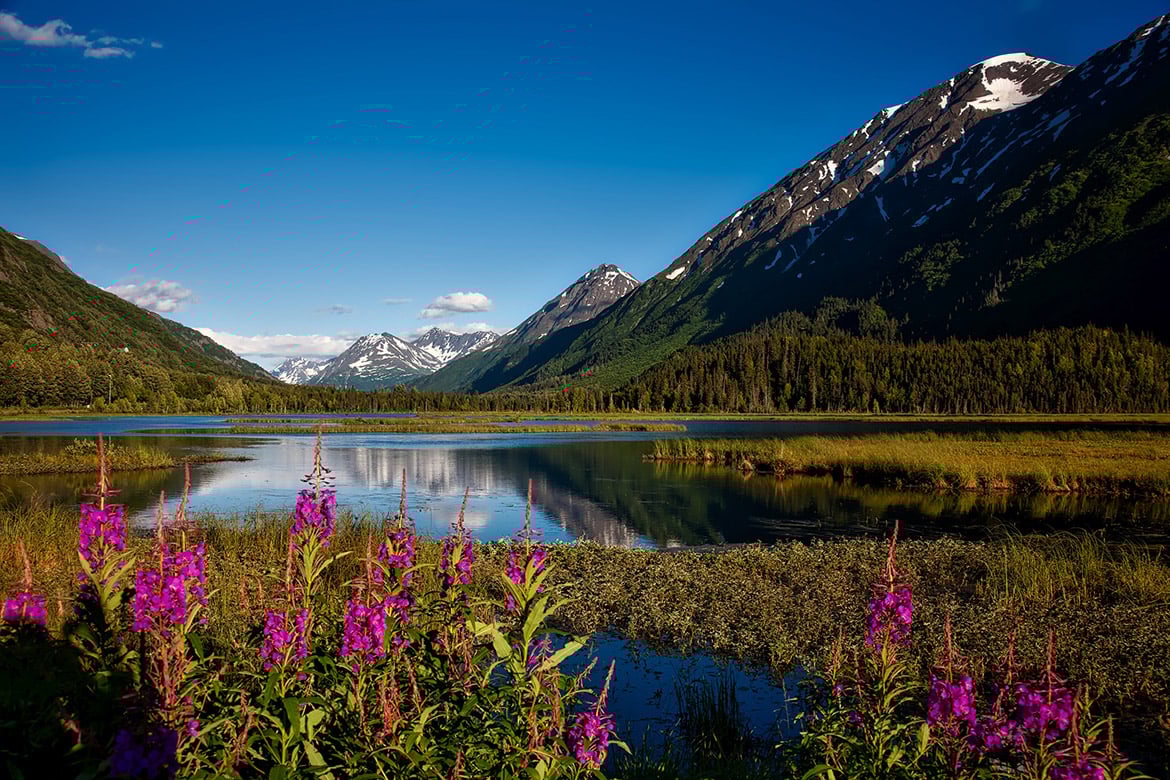 chugach-national-forest